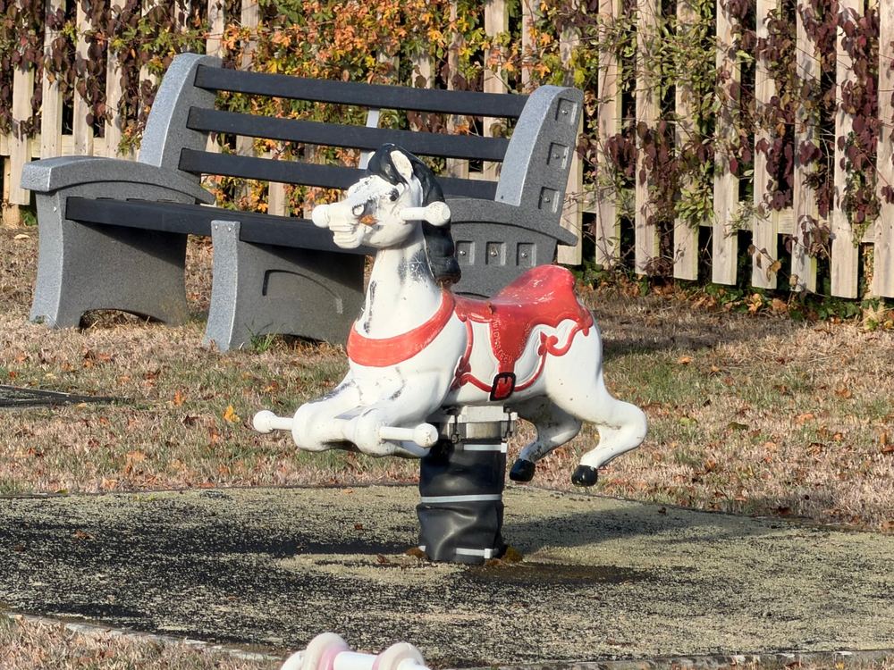 The rocking horse from 1961, still in the play area